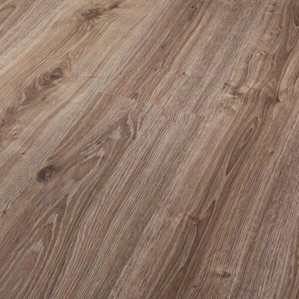 Dąb Białowieski 8642 - Power Plus - Persecto - WYSYŁKA* I PODKŁAD GRATIS