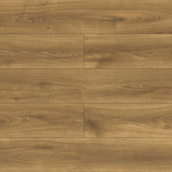 Dąb Tassi 40434 - Aqua Image - Persecto - WYSYŁKA* I PODKŁAD GRATIS