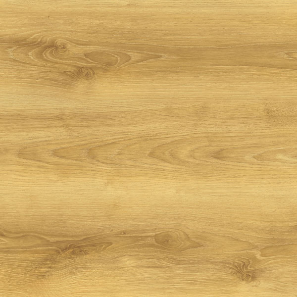 Dąb Sarema 40624 - Aqua Image - Persecto - WYSYŁKA* I PODKŁAD GRATIS