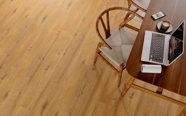 Dąb Harpo - Blues - Vin In - wysyłka gratis*