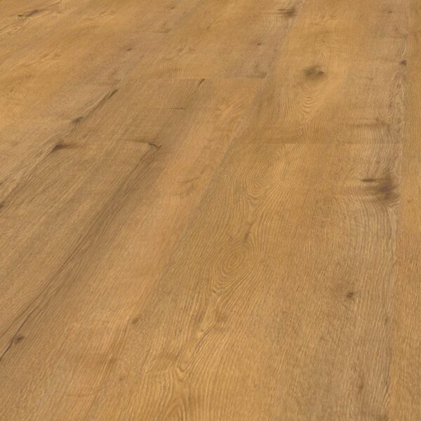 Dąb Harpo - Blues - Vin In - wysyłka gratis*