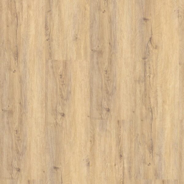 Dąb King - Blues - Vin In - wysyłka gratis*