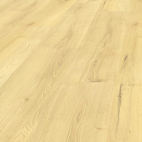 Dąb New York - Freestyle - Vin In - wysyłka gratis*