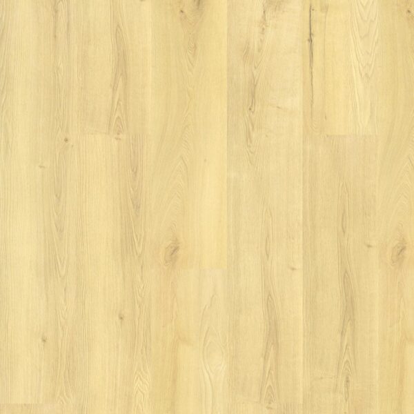 Dąb New York - Freestyle - Vin In - wysyłka gratis*