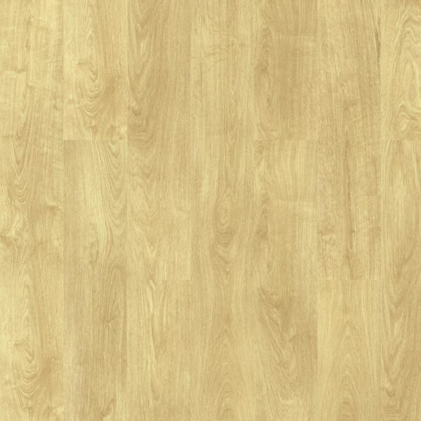 Dąb Marshall - House - Vin In - wysyłka gratis*